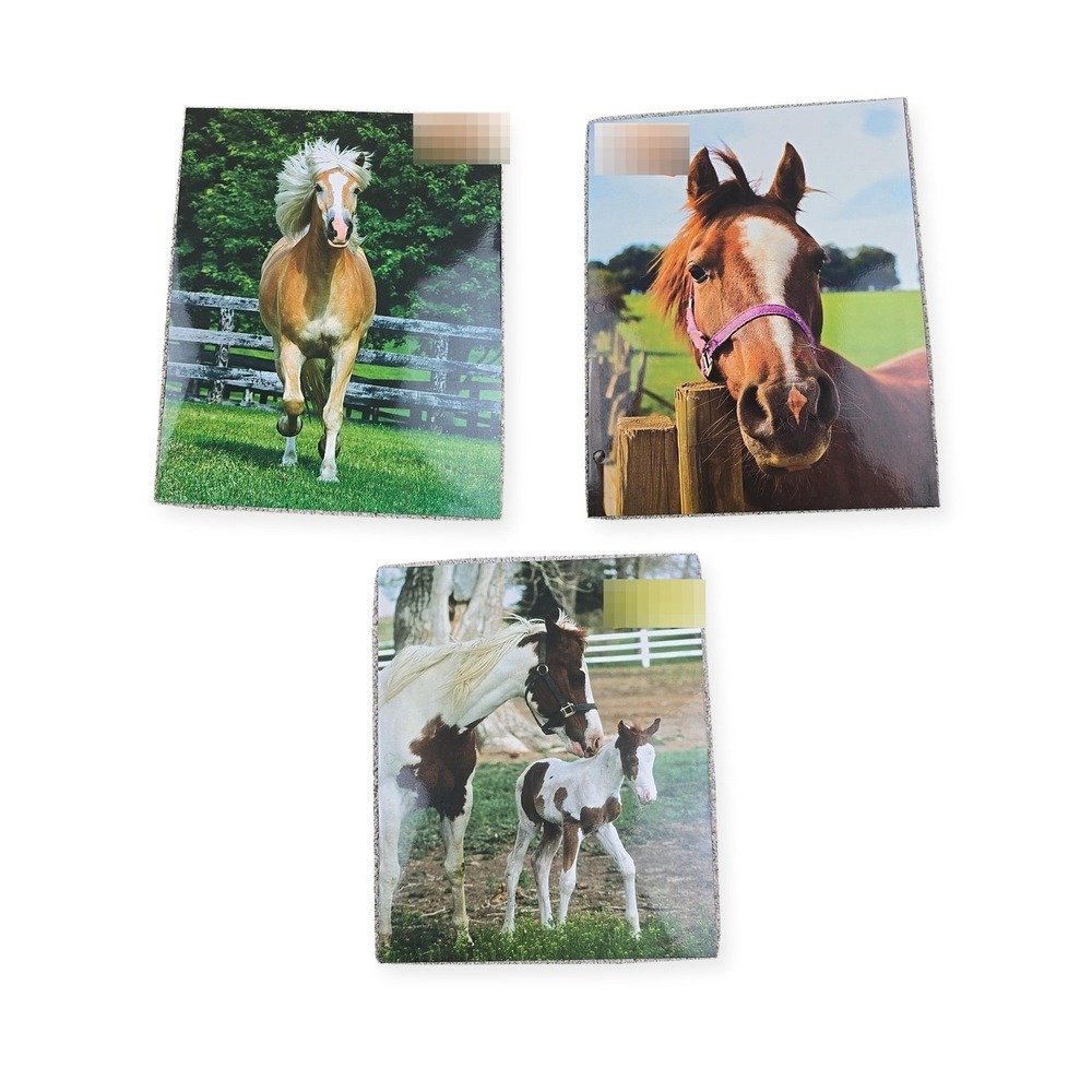 Top Flight Horse Pocket Folders Lot of 3 Equestrian 3 Ring Binder New